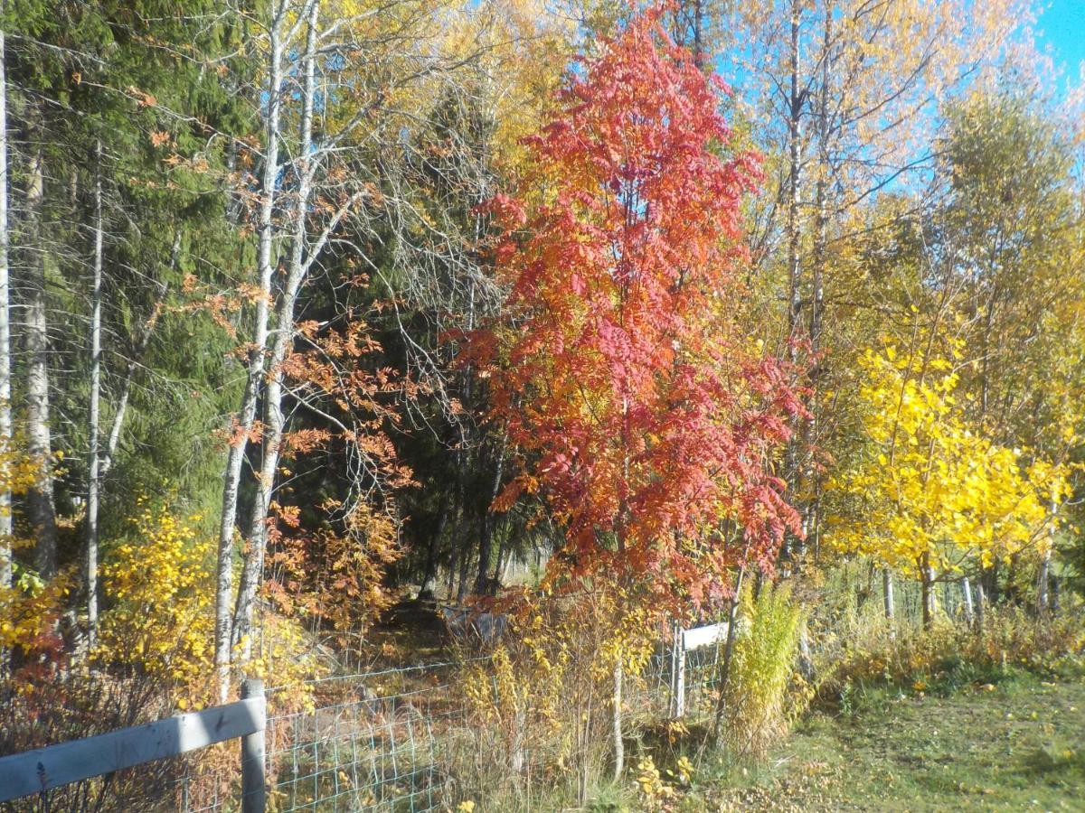 Lovelund Farm. Cottage Hagfors Eksteriør bilde